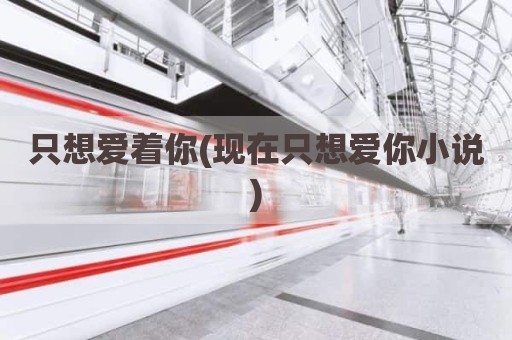 只想爱着你(现在只想爱你小说)