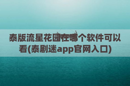 泰版流星花园在哪个软件可以看(泰剧迷app官网入口)