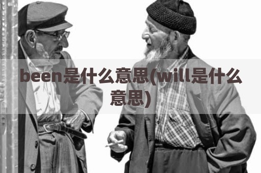 been是什么意思(will是什么意思)
