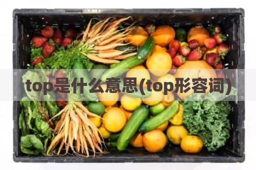top是什么意思(top形容词)