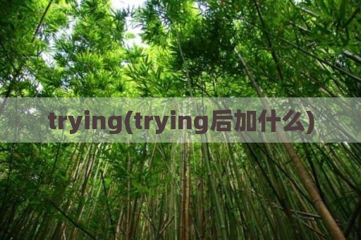 trying(trying后加什么)