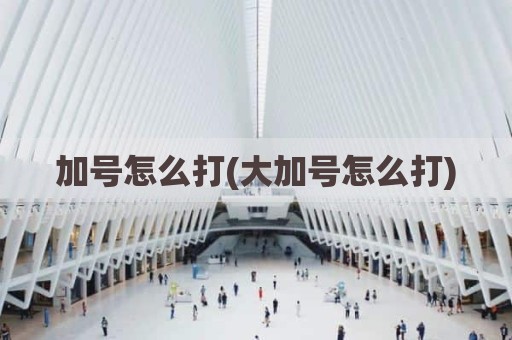加号怎么打(大加号怎么打)