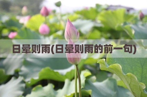 日晕则雨(日晕则雨的前一句)