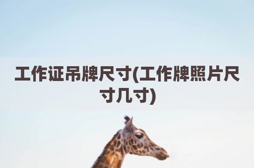 工作证吊牌尺寸(工作牌照片尺寸几寸)