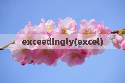 exceedingly(excel)