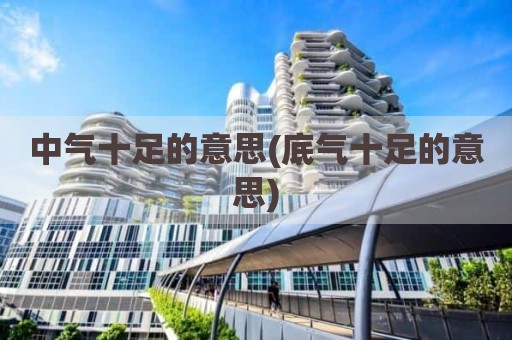 中气十足的意思(底气十足的意思)