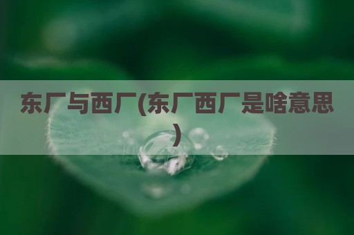 东厂与西厂(东厂西厂是啥意思)