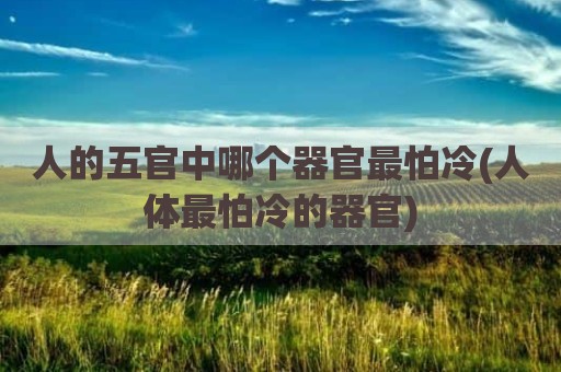 人的五官中哪个器官最怕冷(人体最怕冷的器官)
