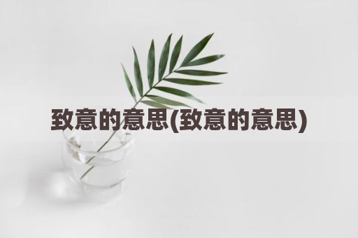 致意的意思(致意的意思)