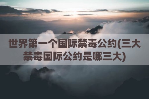 世界第一个国际禁毒公约(三大禁毒国际公约是哪三大)
