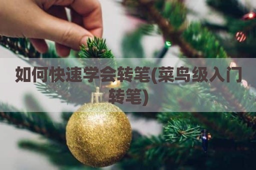 如何快速学会转笔(菜鸟级入门转笔)