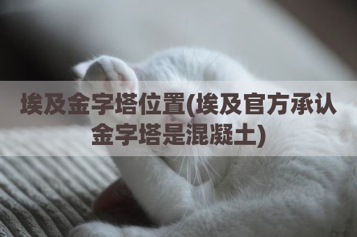 埃及金字塔位置(埃及官方承认金字塔是混凝土)