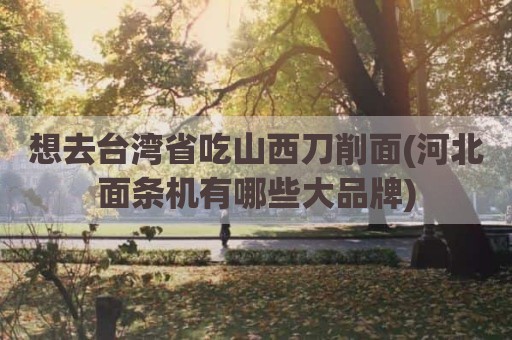 想去台湾省吃山西刀削面(河北面条机有哪些大品牌)
