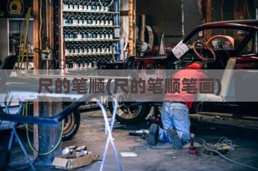 尺的笔顺(尺的笔顺笔画)