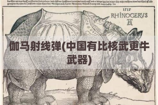 伽马射线弹(中国有比核武更牛武器)