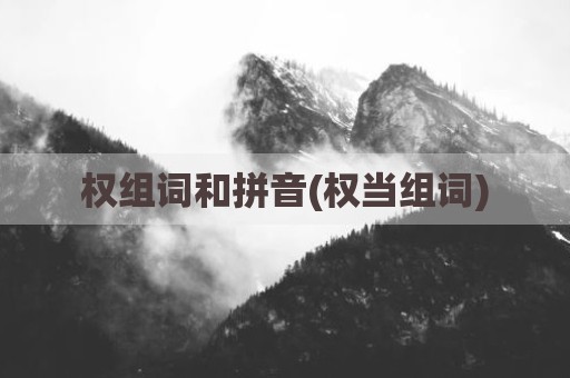 权组词和拼音(权当组词)