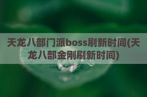 天龙八部门派boss刷新时间(天龙八部金刚刷新时间)