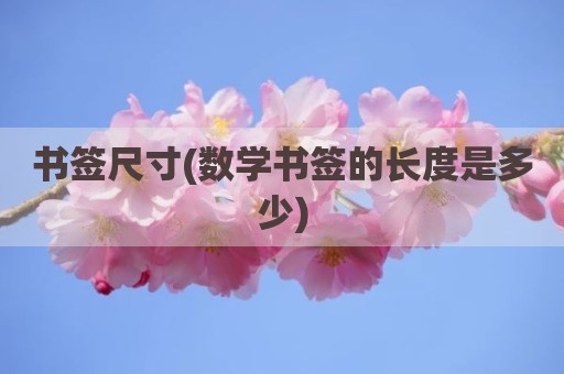 书签尺寸(数学书签的长度是多少)