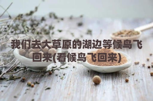 我们去大草原的湖边等候鸟飞回来(看候鸟飞回来)
