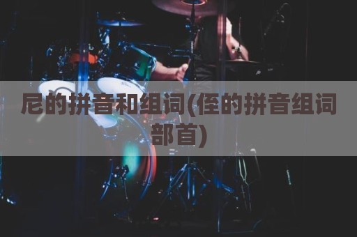 尼的拼音和组词(侄的拼音组词部首)