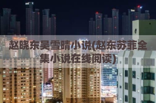 赵晓东吴雪晴小说(赵东苏菲全集小说在线阅读)