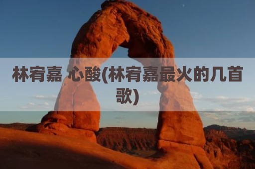 林宥嘉 心酸(林宥嘉最火的几首歌)