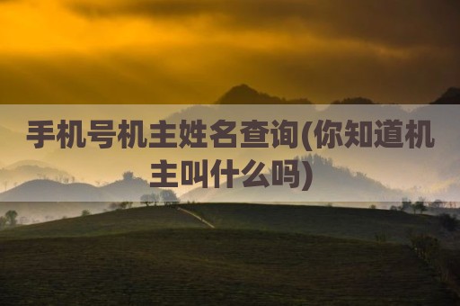 手机号机主姓名查询(你知道机主叫什么吗)