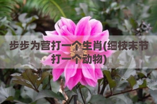 步步为营打一个生肖(细枝末节打一个动物)