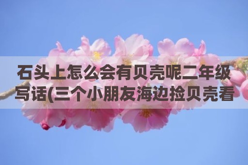 石头上怎么会有贝壳呢二年级写话(三个小朋友海边捡贝壳看图写话)