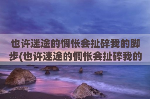 也许迷途的惆怅会扯碎我的脚步(也许迷途的惆怅会扯碎我的脚步)
