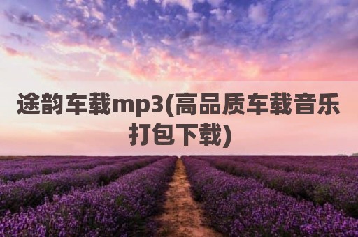 途韵车载mp3(高品质车载音乐打包下载)