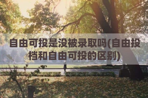 自由可投是没被录取吗(自由投档和自由可投的区别)