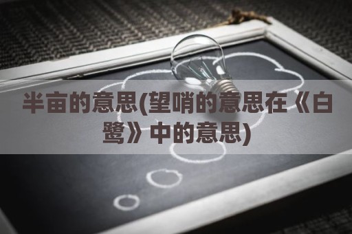 半亩的意思(望哨的意思在《白鹭》中的意思)