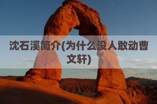 沈石溪简介(为什么没人敢动曹文轩)