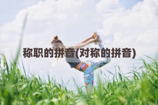 称职的拼音(对称的拼音)