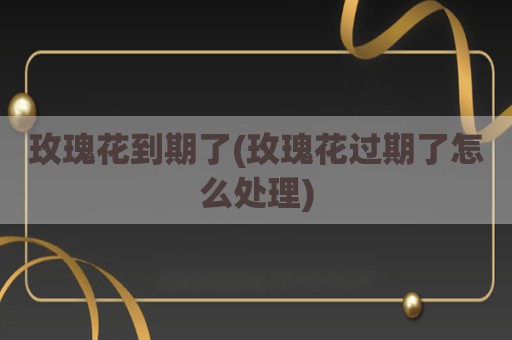玫瑰花到期了(玫瑰花过期了怎么处理)