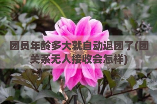 团员年龄多大就自动退团了(团关系无人接收会怎样)