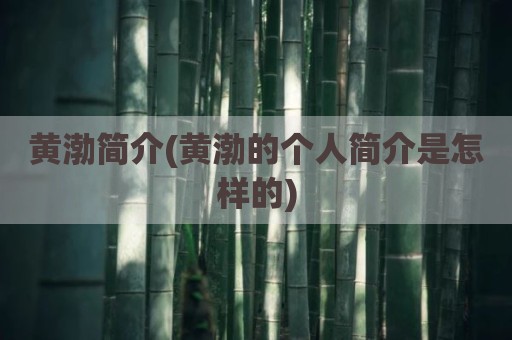 黄渤简介(黄渤的个人简介是怎样的)