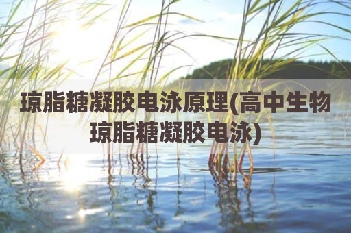 琼脂糖凝胶电泳原理(高中生物琼脂糖凝胶电泳)