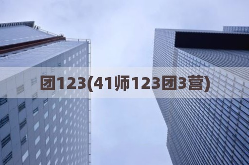 团123(41师123团3营)