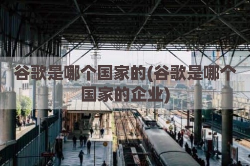 谷歌是哪个国家的(谷歌是哪个国家的企业)