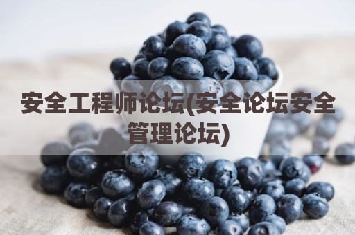 安全工程师论坛(安全论坛安全管理论坛)