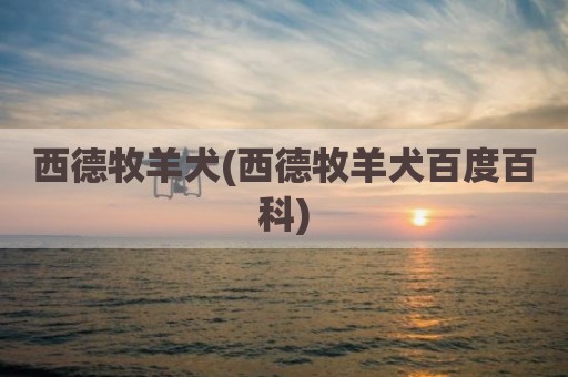 西德牧羊犬(西德牧羊犬百度百科)