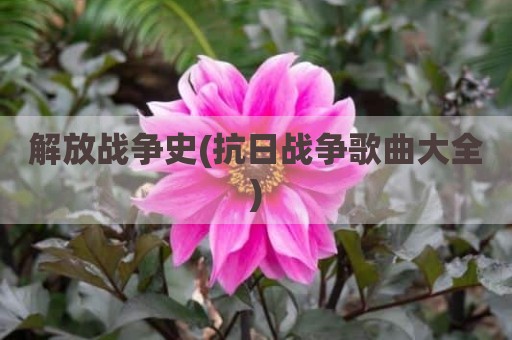 解放战争史(抗日战争歌曲大全)