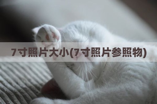 7寸照片大小(7寸照片参照物)