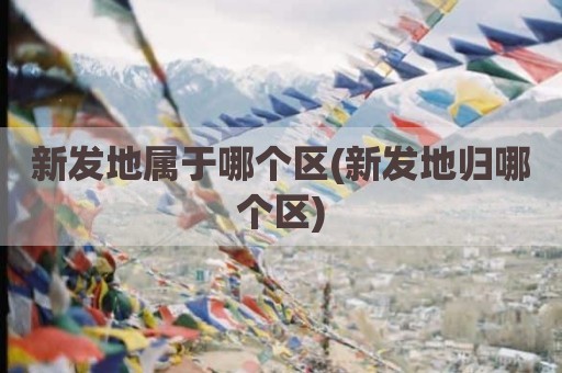 新发地属于哪个区(新发地归哪个区)