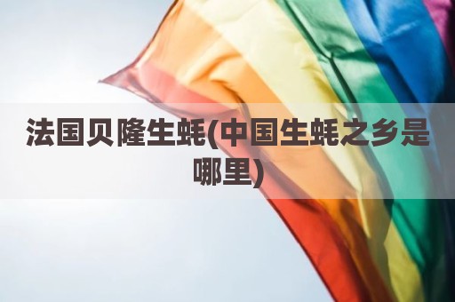 法国贝隆生蚝(中国生蚝之乡是哪里)