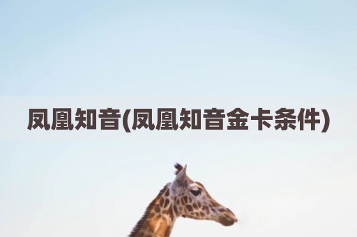 凤凰知音(凤凰知音金卡条件)