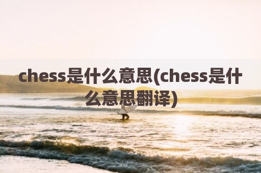 chess是什么意思(chess是什么意思翻译)