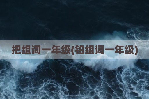把组词一年级(铅组词一年级)